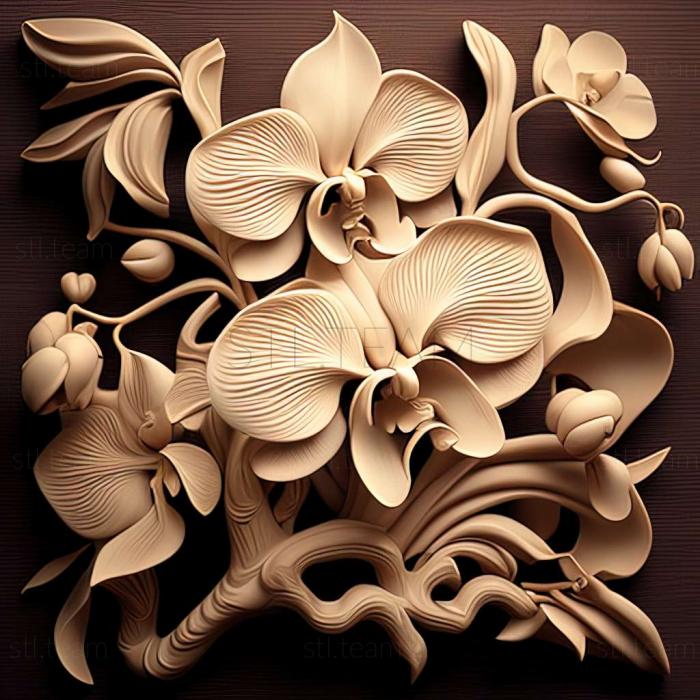 Pattern Orchid